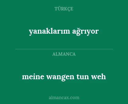 yanaklarım ağrıyor - meine wangen tun weh