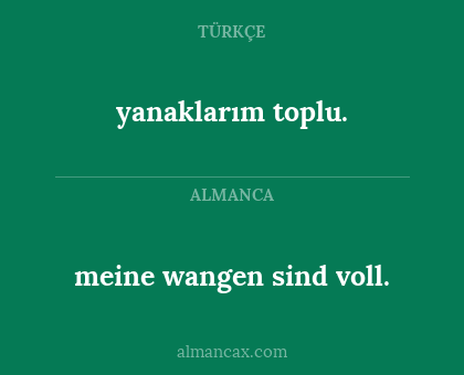 yanaklarım toplu. - meine wangen sind voll.