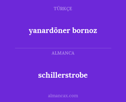 schillerstrobe - yanardöner bornoz
