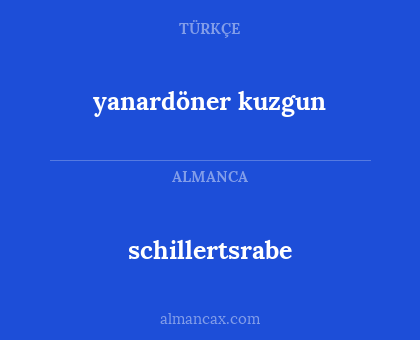 schillertsrabe - yanardöner kuzgun
