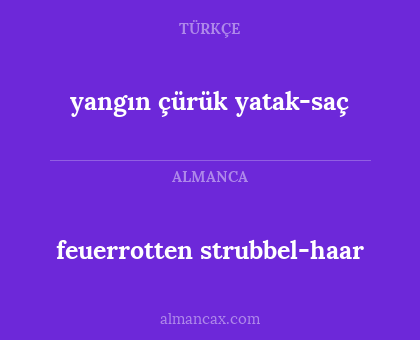 yangın çürük yatak-saç - feuerrotten strubbel-haar
