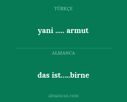yani ..... armut - das ist…..birne