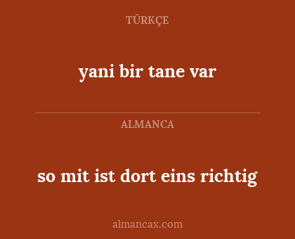 so mit ist dort eins richtig - yani bir tane var
