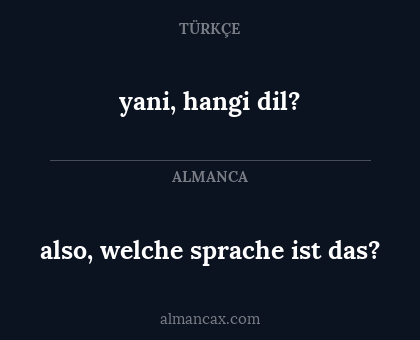 also, welche sprache ist das? - yani, hangi dil?