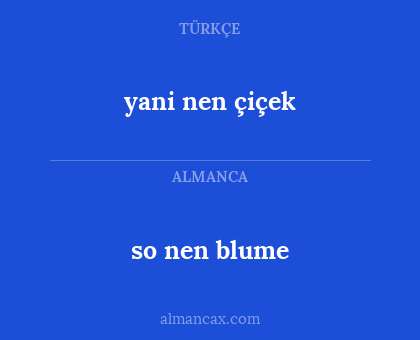 so nen blume - yani nen çiçek