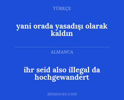 yani orada yasadışı olarak kaldın - ihr seid also illegal da hochgewandert