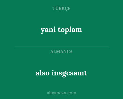 yani toplam - also insgesamt