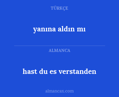 hast du es verstanden - yanına aldın mı