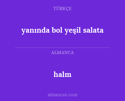 yanında bol yeşil salata - halm