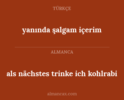 yanında şalgam içerim - als nächstes trinke ich kohlrabi