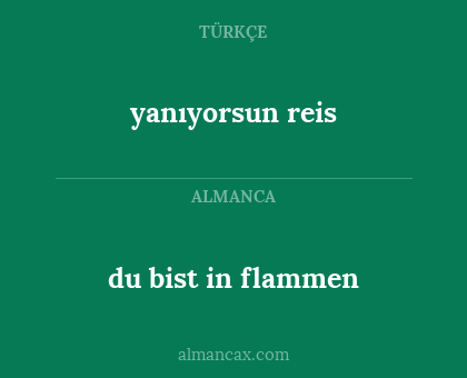 du bist in flammen - yanıyorsun reis