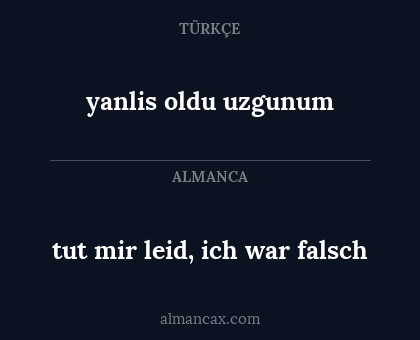 tut mir leid, ich war falsch - yanlis oldu uzgunum
