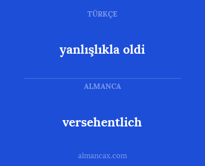 versehentlich - yanlışlıkla oldi