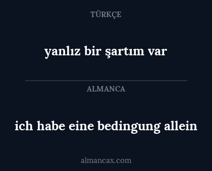 ich habe eine bedingung allein - yanlız bir şartım var