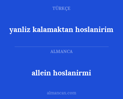 yanliz kalamaktan hoslanirim - allein hoslanirmi