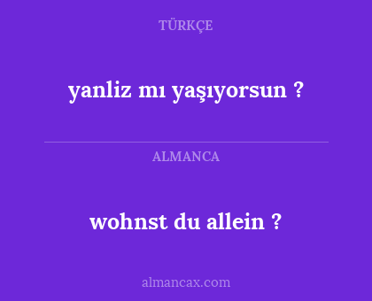 wohnst du allein ? - yanliz mı yaşıyorsun ?