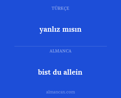 bist du allein - yanlız mısın