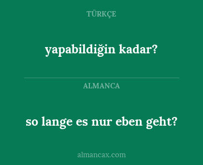 yapabildiğin kadar? - so lange es nur eben geht?
