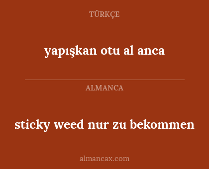 yapışkan otu al anca - sticky weed nur zu bekommen