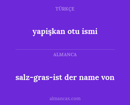 yapişkan otu ismi - salz-gras-ist der name von