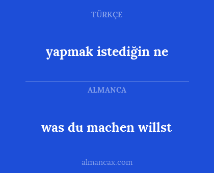 was du machen willst - yapmak istediğin ne