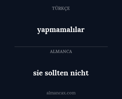 sie sollten nicht - yapmamalılar