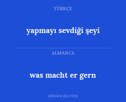 yapmayı sevdiği şeyi - was macht er gern