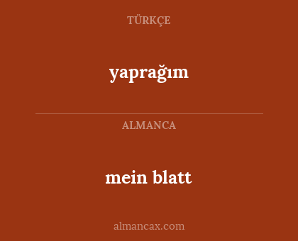 mein blatt - yaprağım