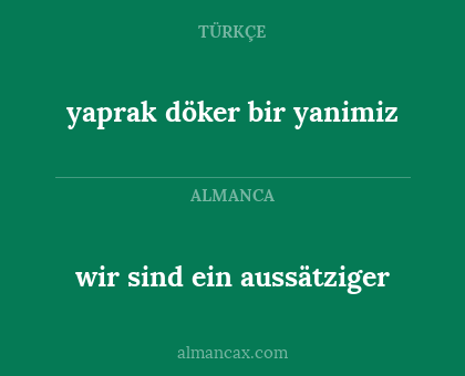 wir sind ein aussätziger - yaprak döker bir yanimiz