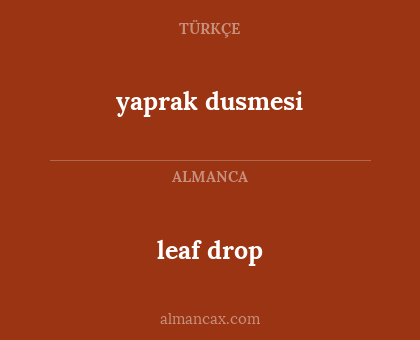 leaf drop - yaprak dusmesi