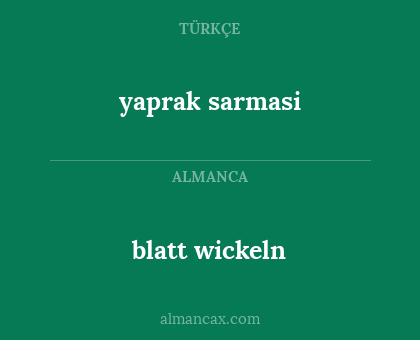 blatt wickeln - yaprak sarmasi
