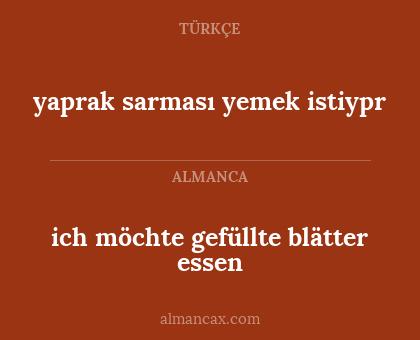 ich möchte gefüllte blätter essen - yaprak sarması yemek istiypr