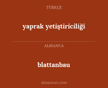blattanbau - yaprak yetiştiriciliği
