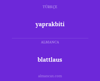 yaprakbiti - blattlaus