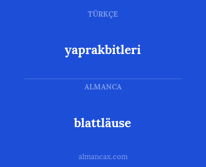 blattläuse - yaprakbitleri