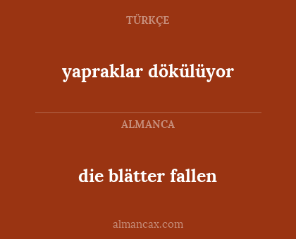 yapraklar dökülüyor - die blätter fallen