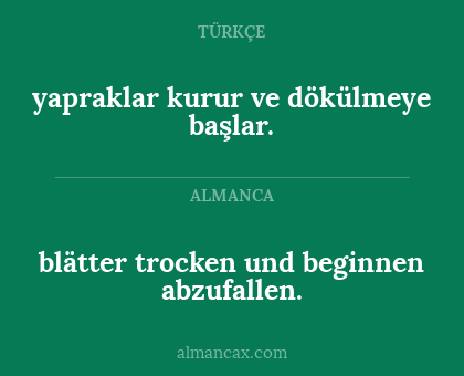 yapraklar kurur ve dökülmeye başlar. - blätter trocken und beginnen abzufallen.