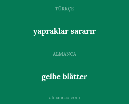 gelbe blätter - yapraklar sararır