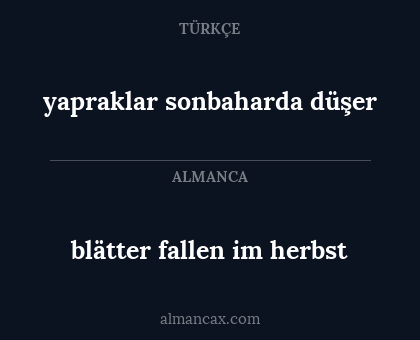 blätter fallen im herbst - yapraklar sonbaharda düşer