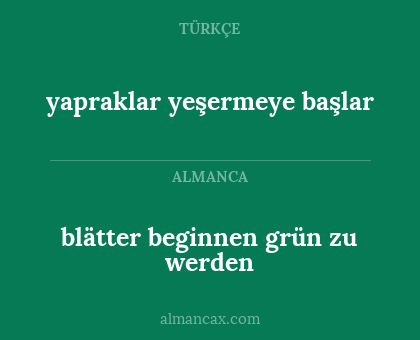 yapraklar yeşermeye başlar - blätter beginnen grün zu werden