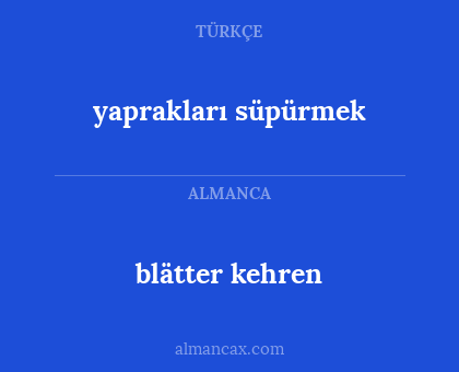 blätter kehren - yaprakları süpürmek