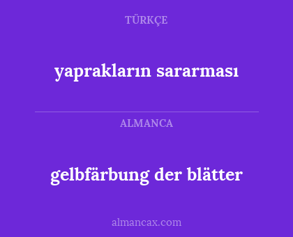 gelbfärbung der blätter - yaprakların sararması