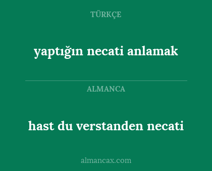 hast du verstanden necati - yaptığın necati anlamak