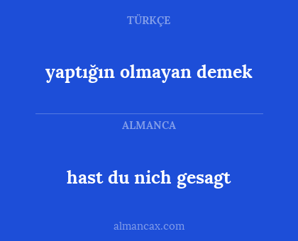 yaptığın olmayan demek - hast du nich gesagt