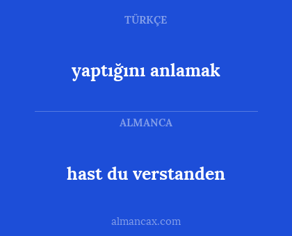 hast du verstanden - yaptığını anlamak