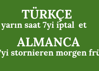 yar%C4%B1n+saat+7yi+iptal++et-7yi+stornieren+morgen+fr%C3%BCh.png