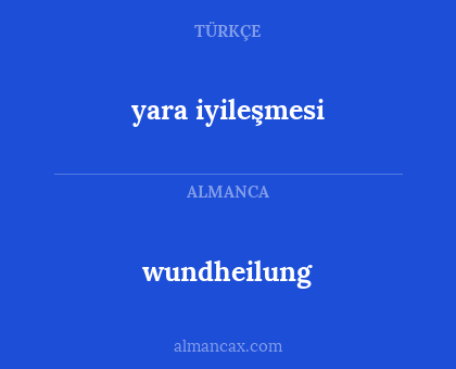 wundheilung - yara iyileşmesi