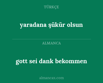 gott sei dank bekommen - yaradana şükür olsun
