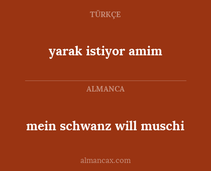 yarak istiyor amim - mein schwanz will muschi