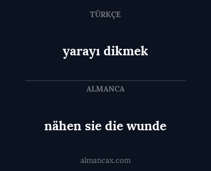 nähen sie die wunde - yarayı dikmek